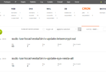 Setup a CRON job using VestaCP