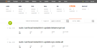 Setup a CRON job using VestaCP