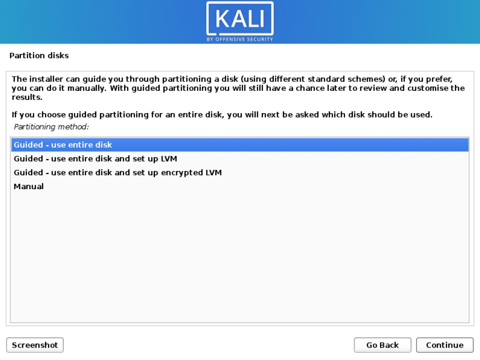 install kali linux partition drive