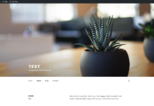 Install WordPress using VestaCP