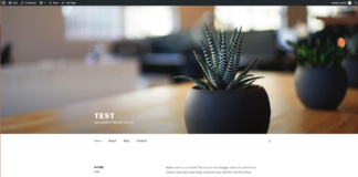 Install WordPress using VestaCP