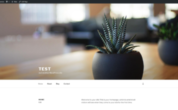Install WordPress using VestaCP
