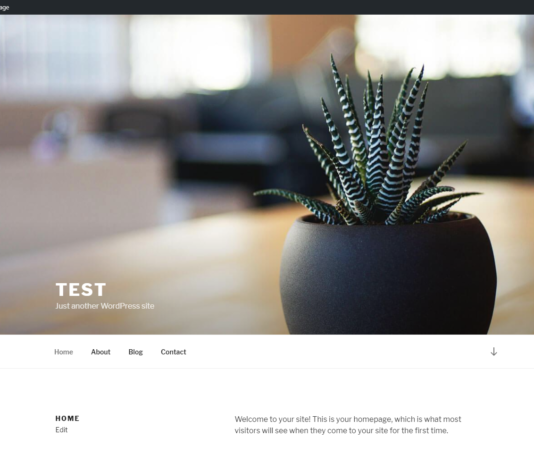 Install WordPress using VestaCP