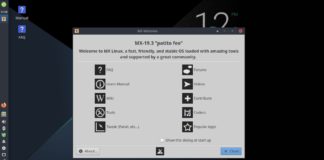 Welcome to MX Linux 19.3