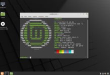 How to install Linux Mint 20 Ulyana linux mint 20 neofetch desktop