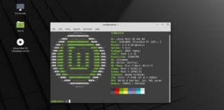 How to install Linux Mint 20 Ulyana linux mint 20 neofetch desktop