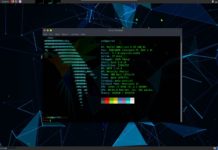 How to install ParrotOS 4.10 parrotos desktop neofetch