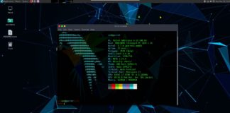 How to install ParrotOS 4.10 parrotos desktop neofetch